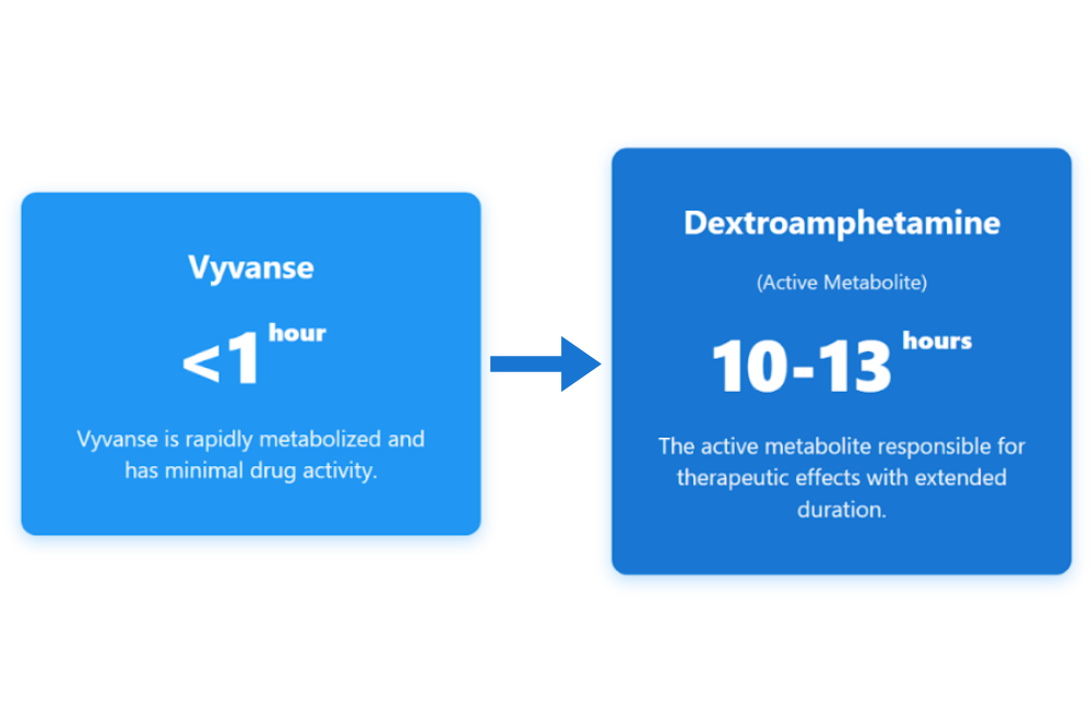 How Long Does Vyvanse Stay In Your System? | Avenues Recovery